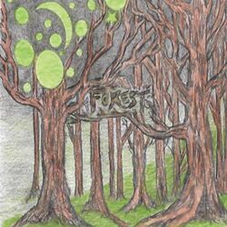 Cover of Forest