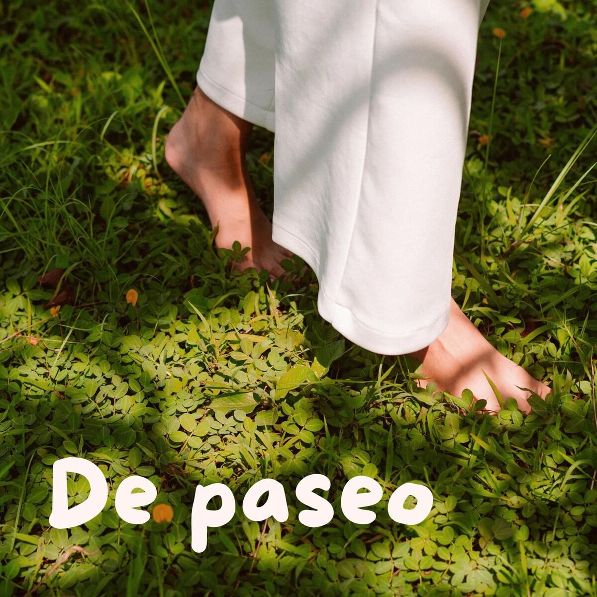 Album cover of De paseo