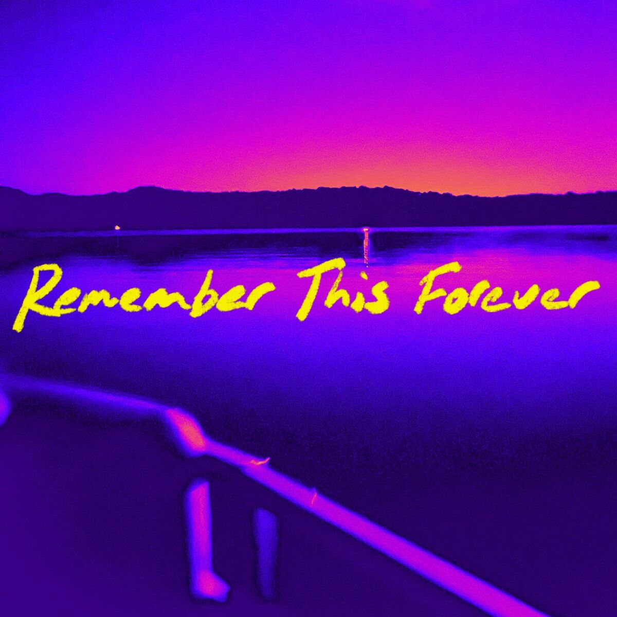 Album cover of Remember This Forever