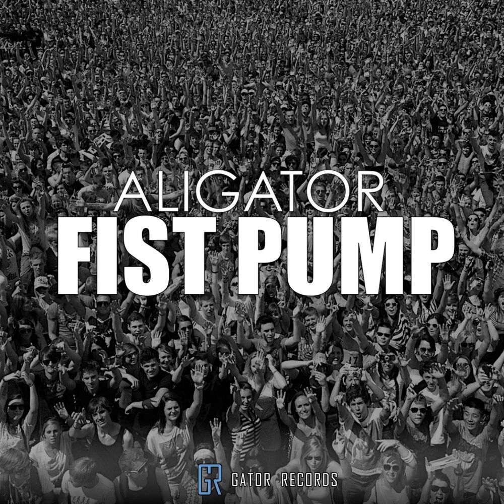 Picture of Fist Pump