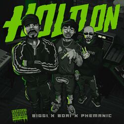 Cover of Hold On