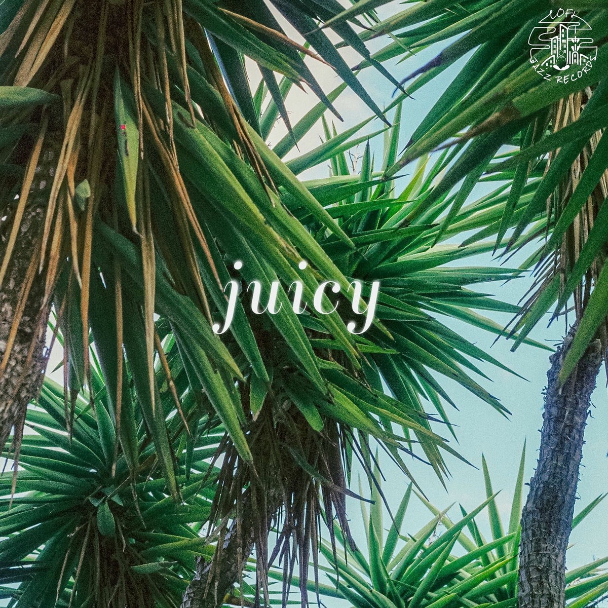 Album cover of Juicy
