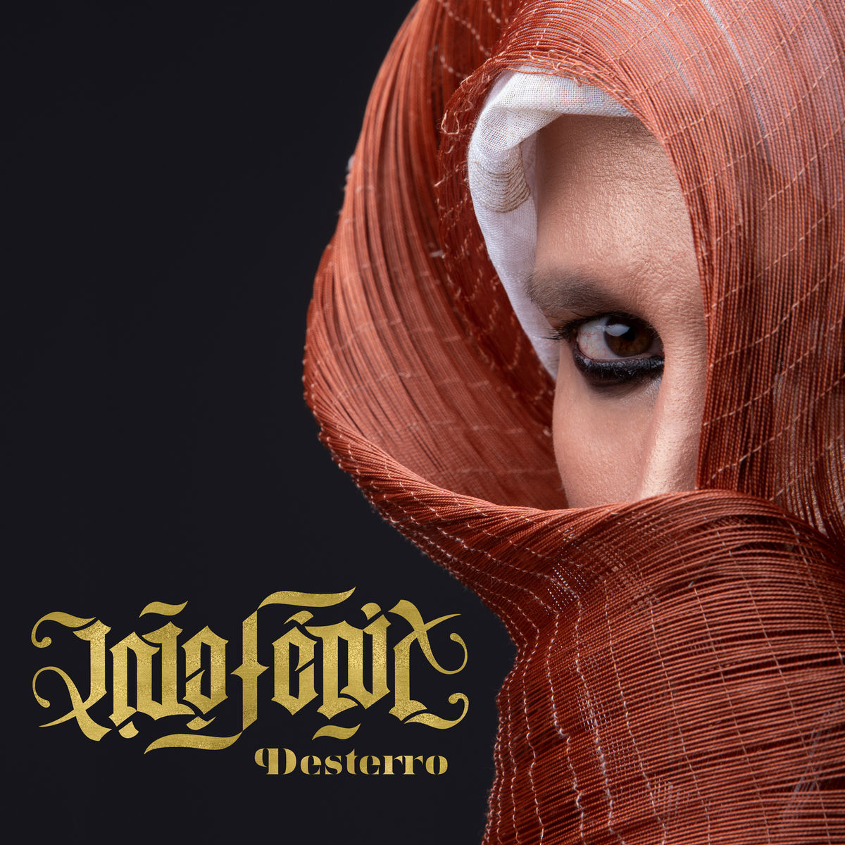 Album cover of Desterro