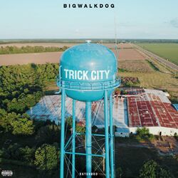 Cover of Trick City (Extended)
