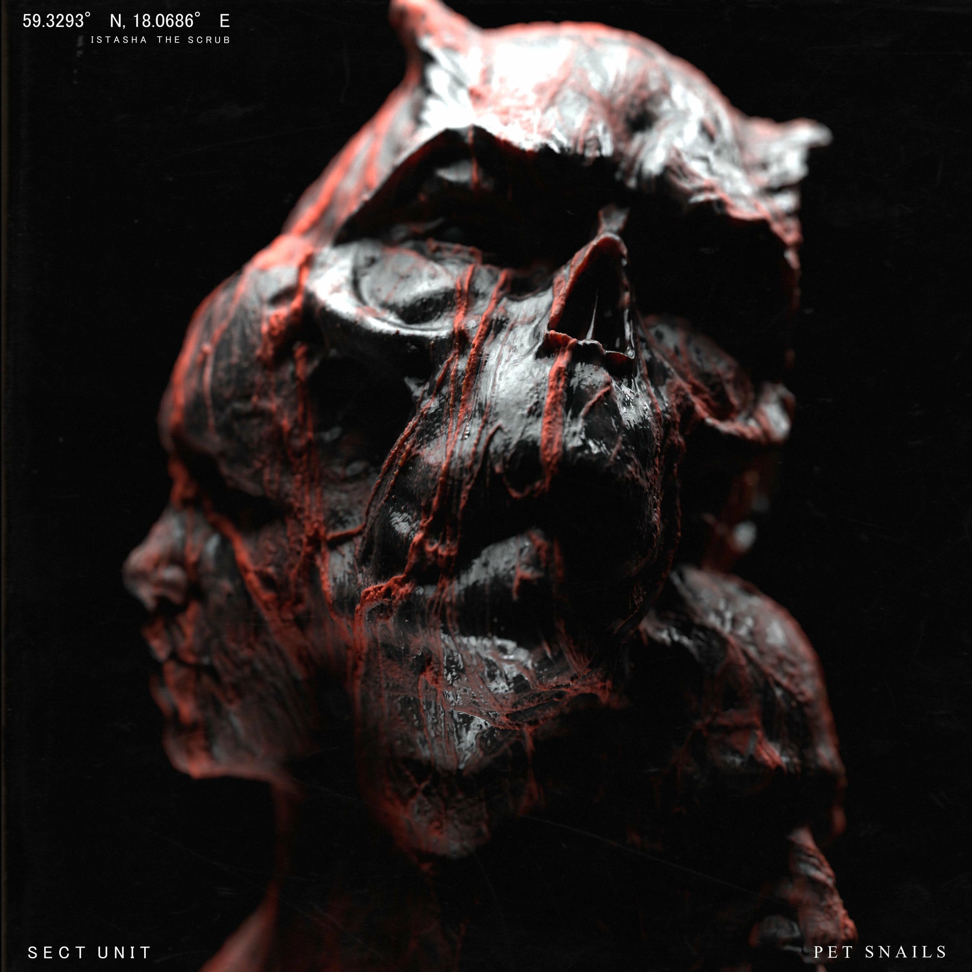 Album cover of New Strings
