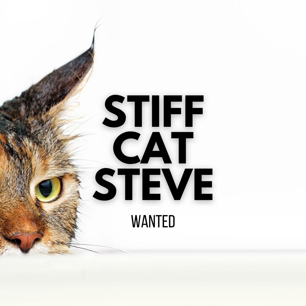 Picture of Wanted