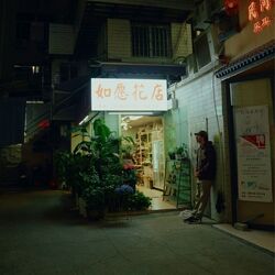 Cover of Here Now