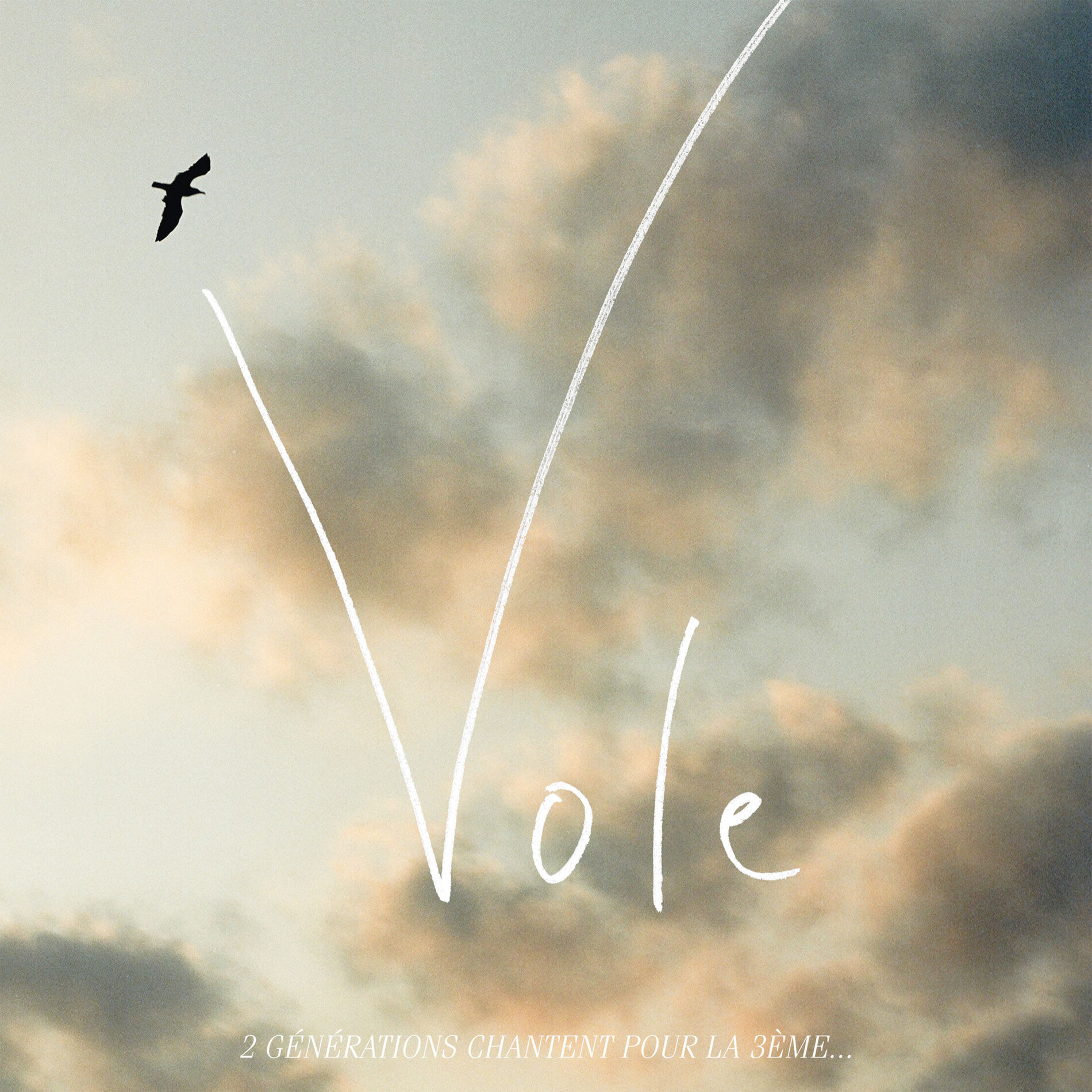 Album cover of Vole (2 générations chantent pour la 3ème)