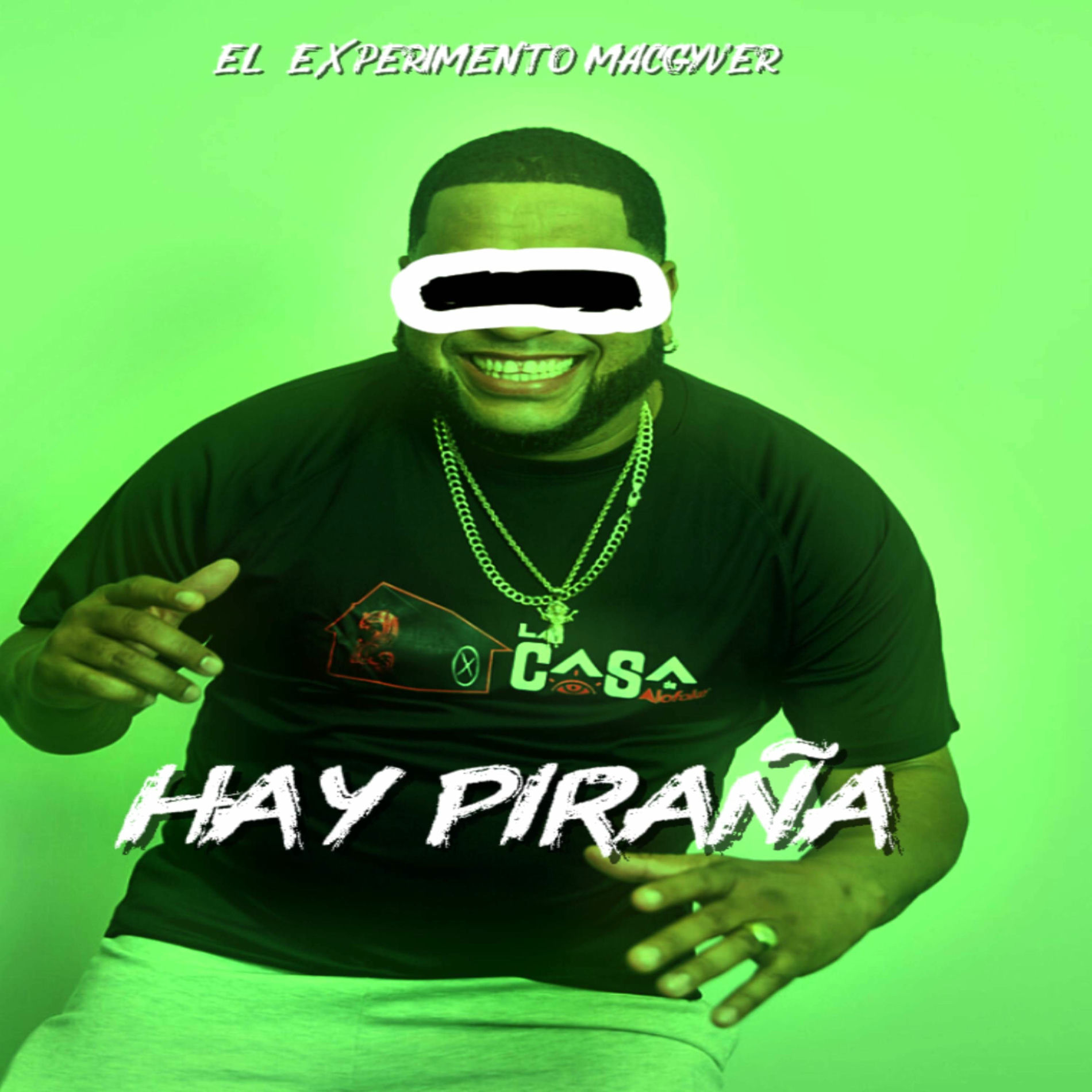Album cover of HAY PIRAÑA