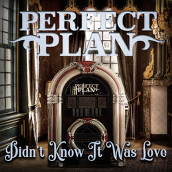 Cover of Didn't Know It Was Love