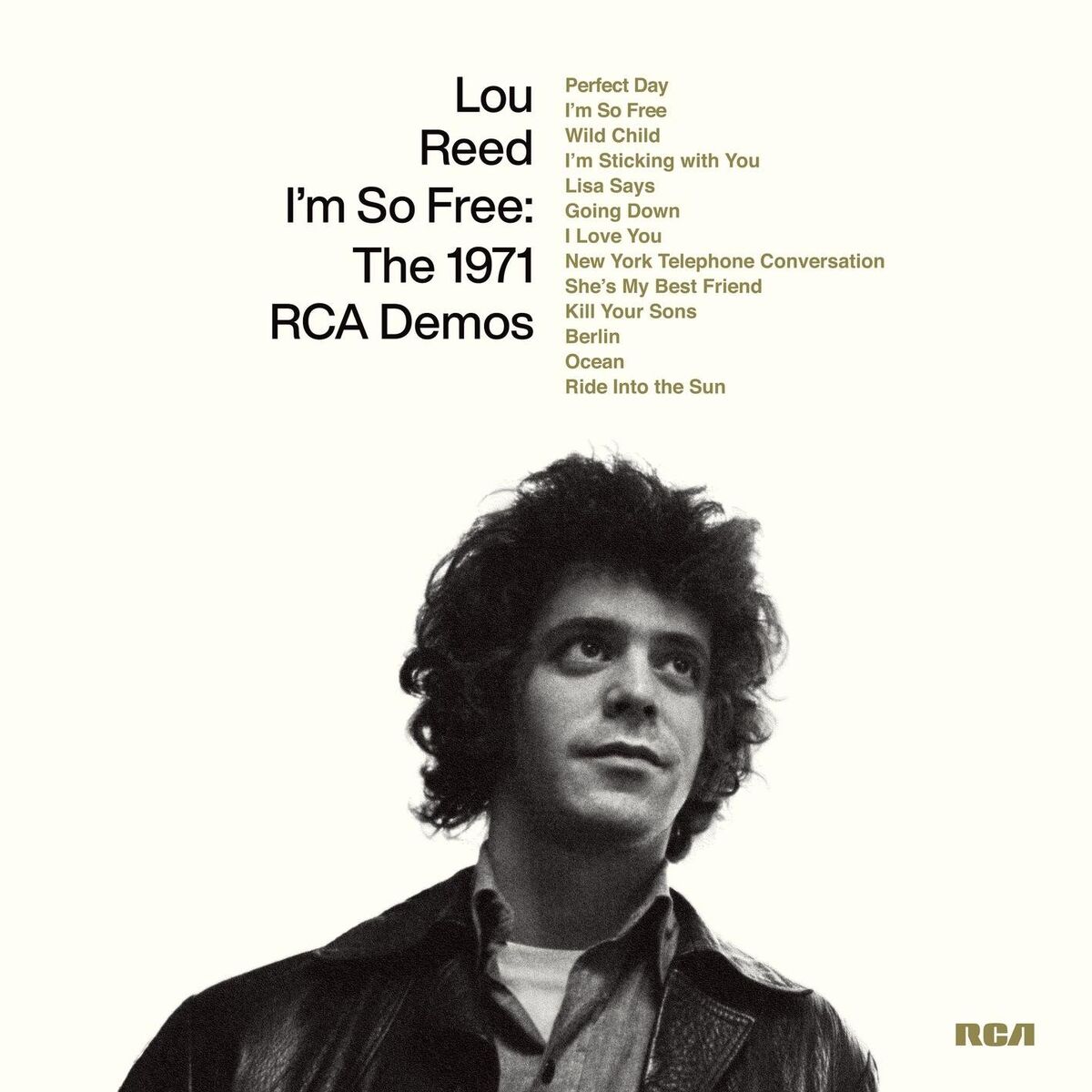 Album cover of Perfect Day