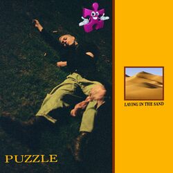 Cover of Laying in the Sand