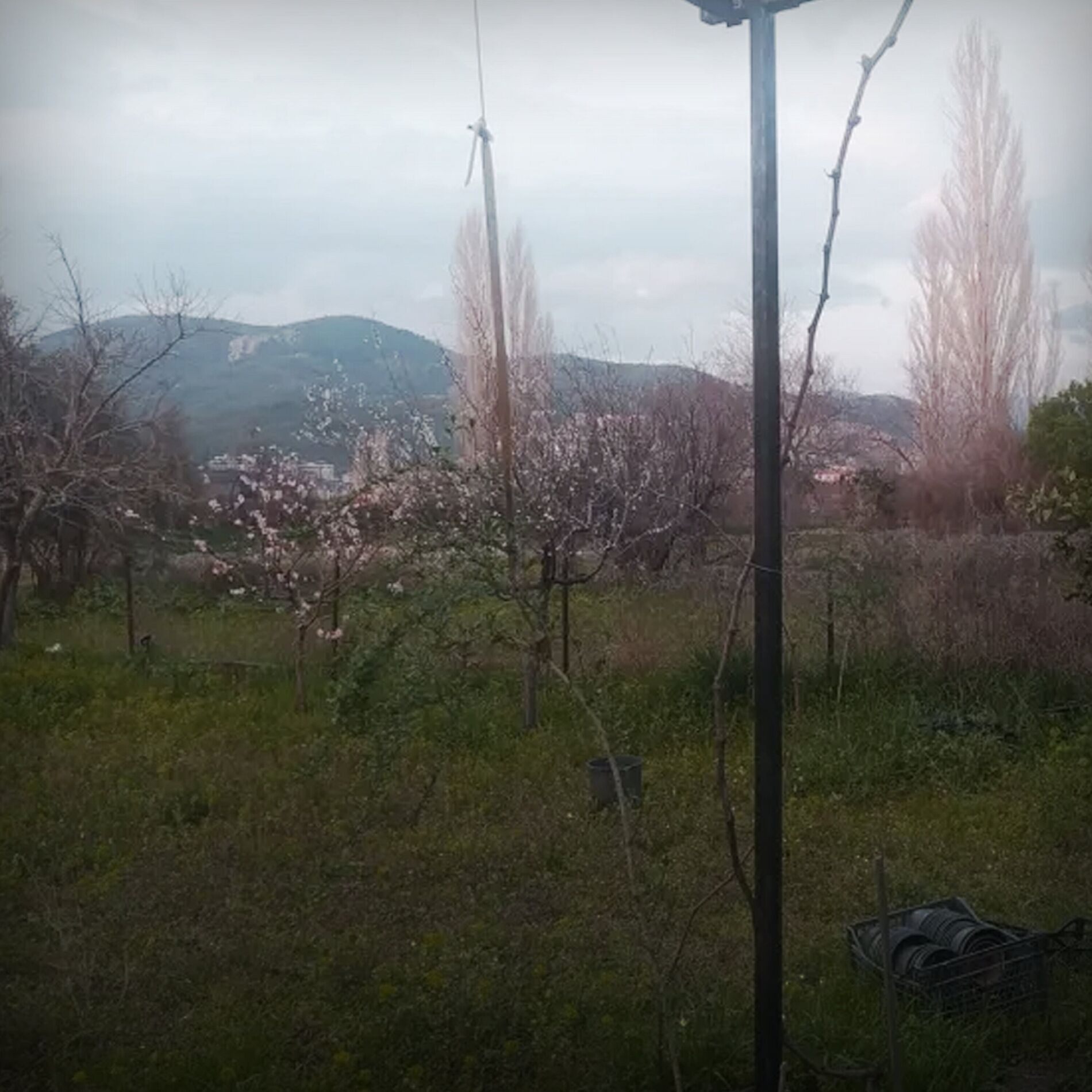 Album cover of Decompose
