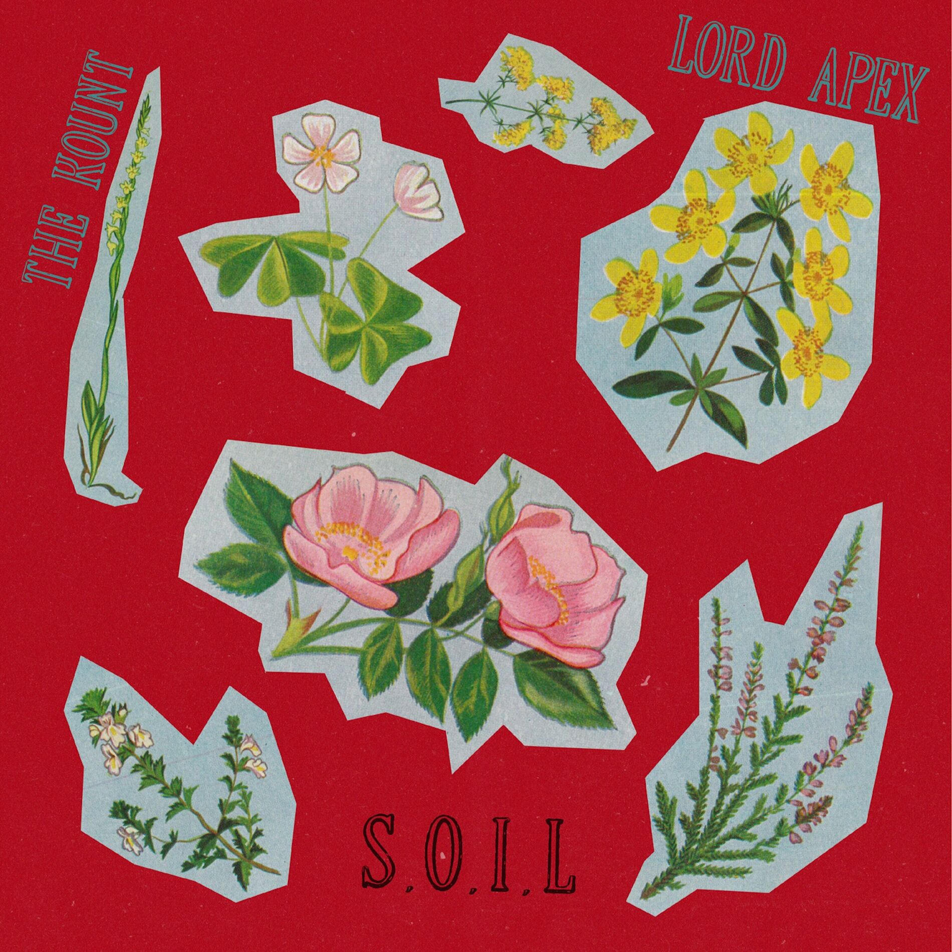 Album cover of Sunny Daze