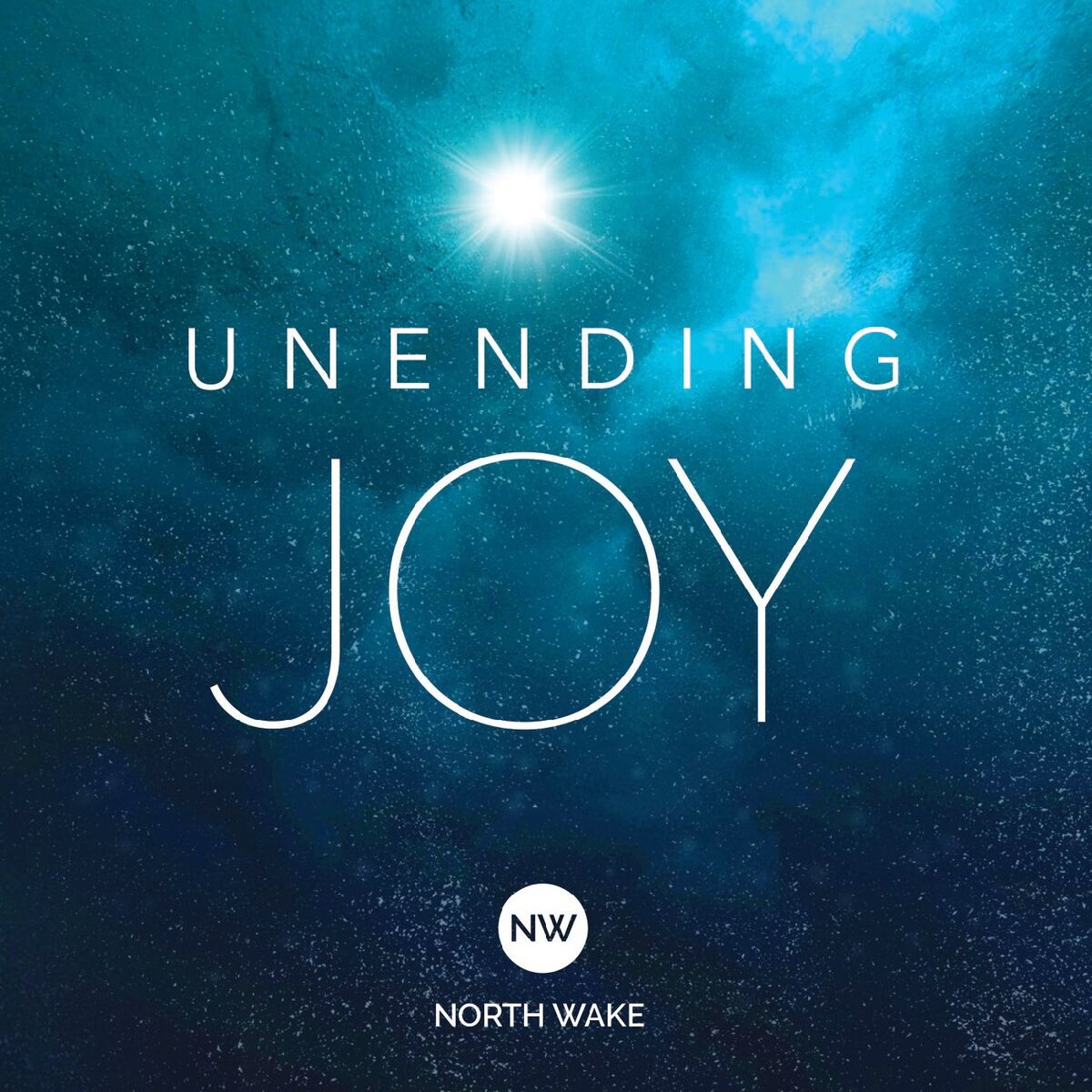 Album cover of Unending Joy