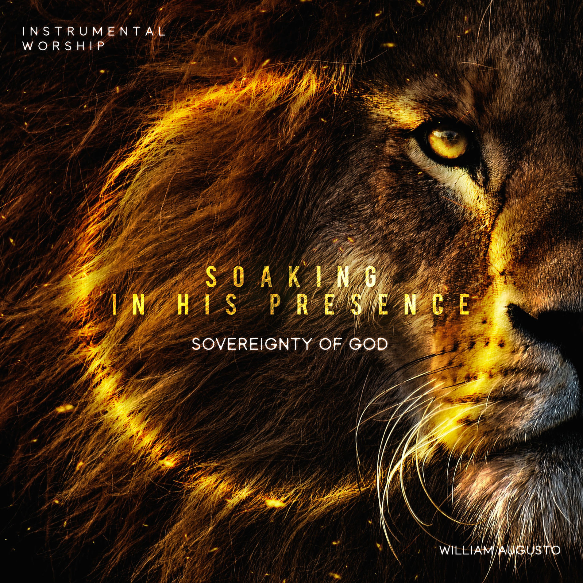 Album cover of Soaking in His Presence: Sovereignty of God