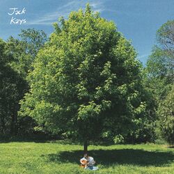 Cover of voice memos
