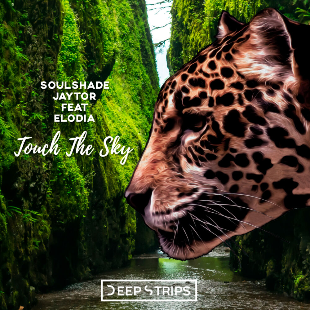 Picture of Touch the Sky