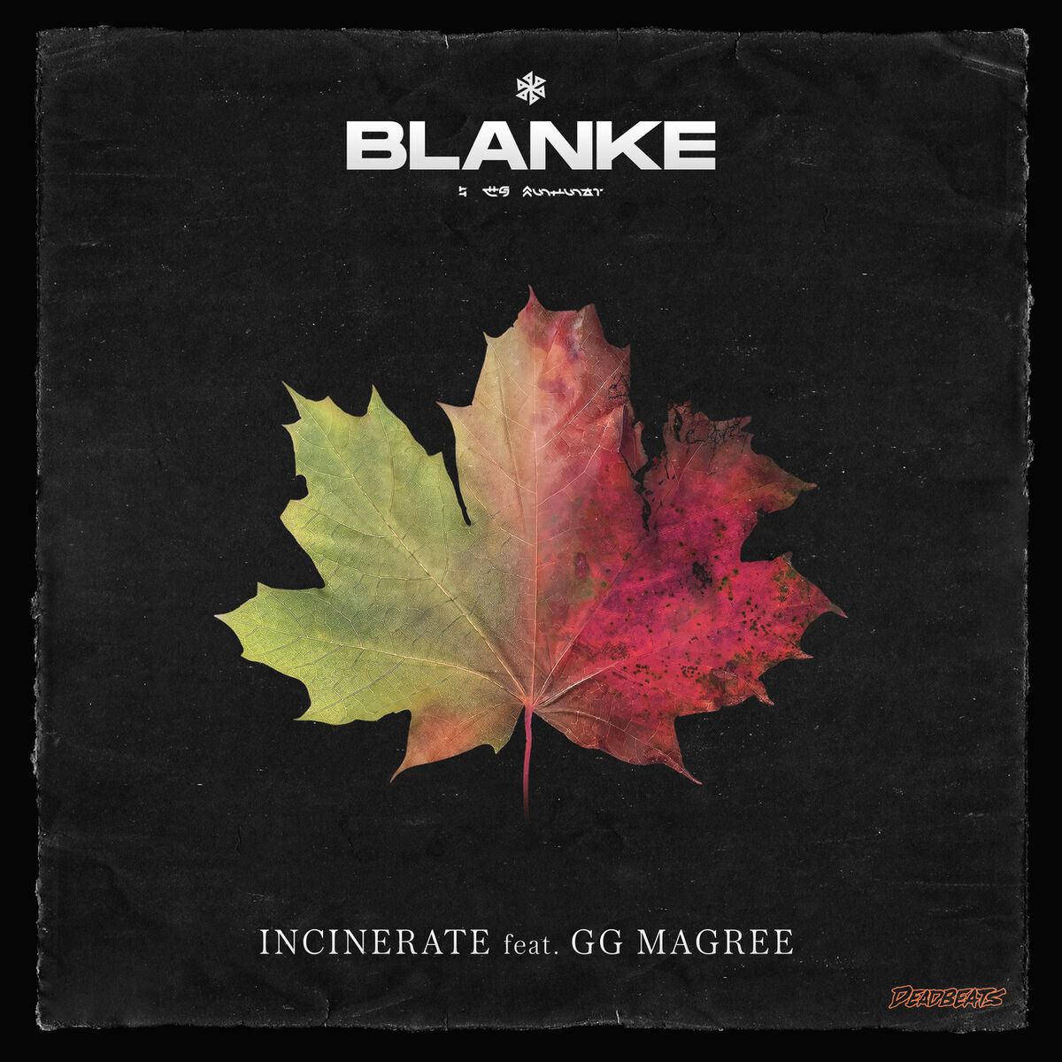 Album cover of Incinerate