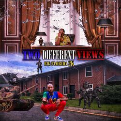 Cover of TWO DIFFERENT VIEWS