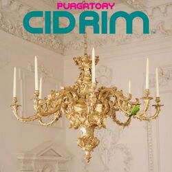 Cover of Purgatory