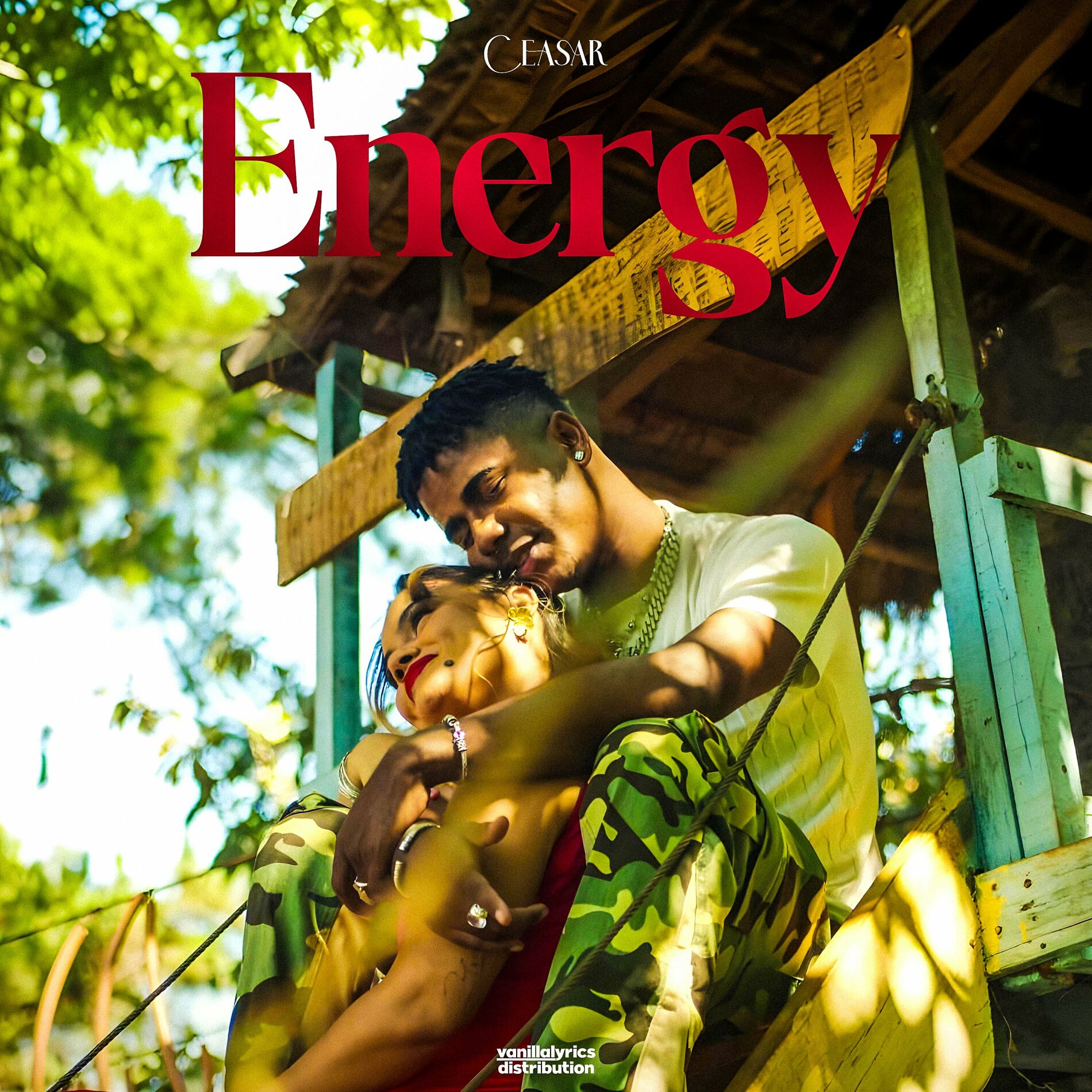 Album cover of Energy