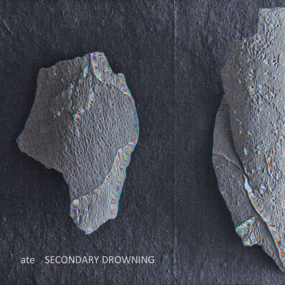 Picture of Secondary Drowning