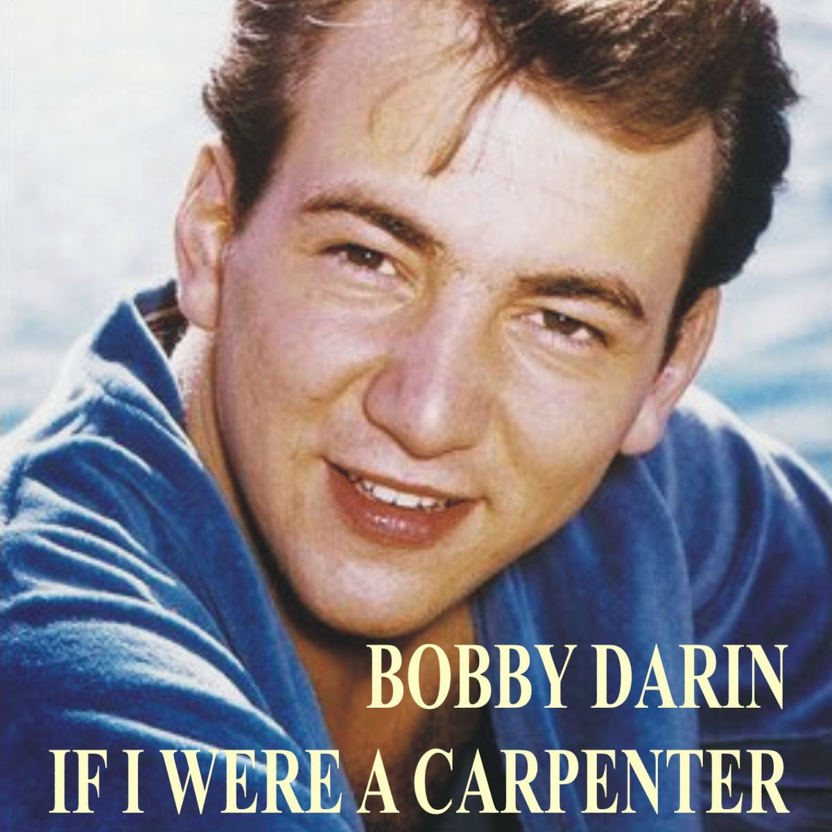 Album cover of If I Were a Carpenter
