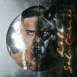 Cover of Lobo Solitário