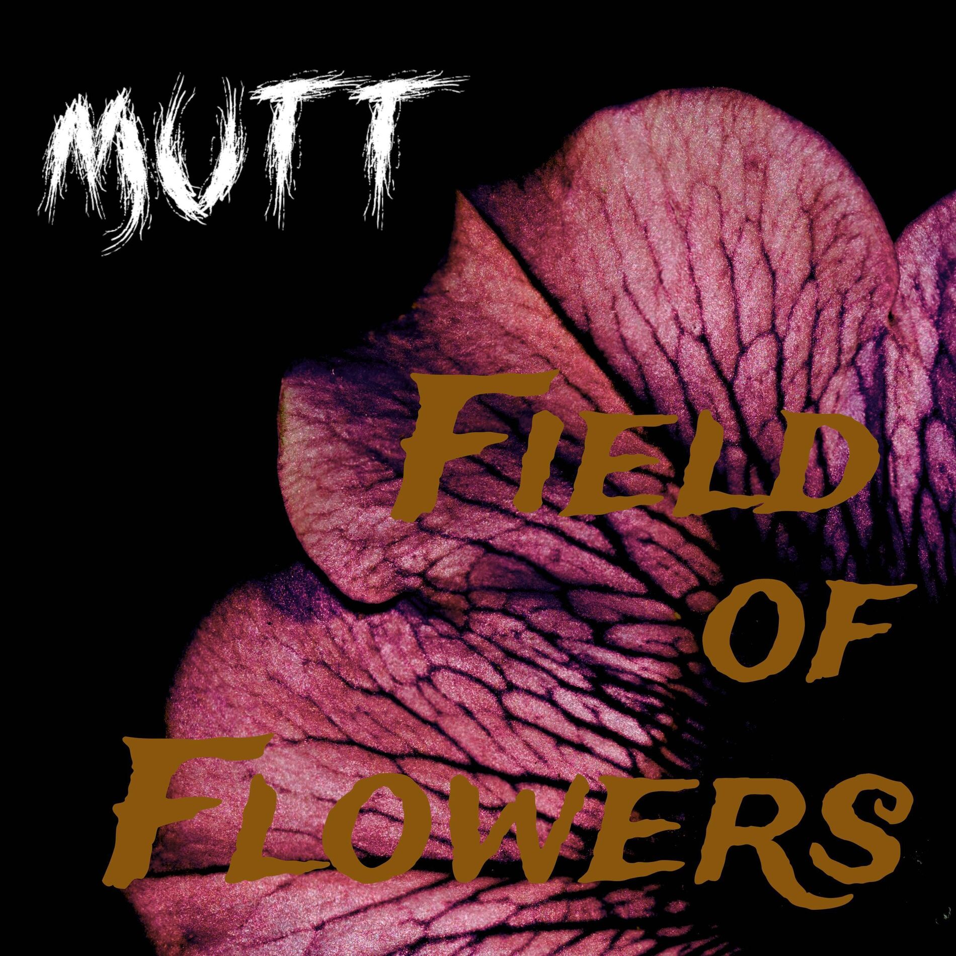 Album cover of Field of Flowers