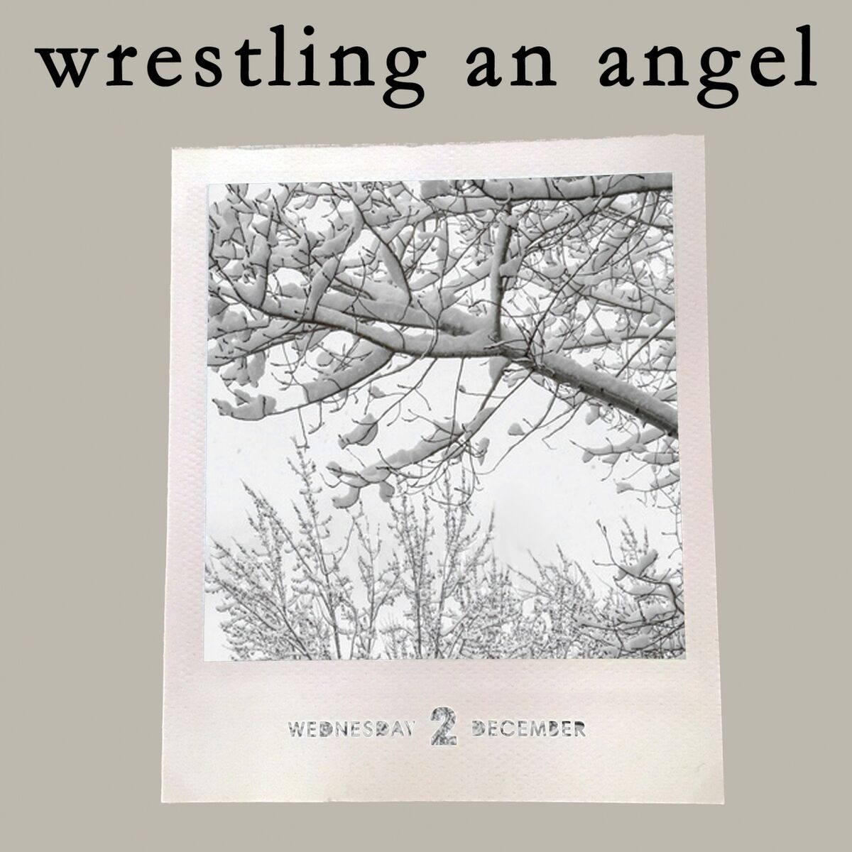 Album cover of Wrestling An Angel