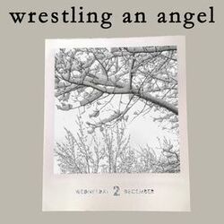 Cover of Wrestling An Angel