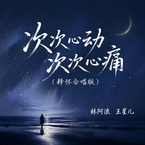 次次心动次次心痛 (释怀合唱版)