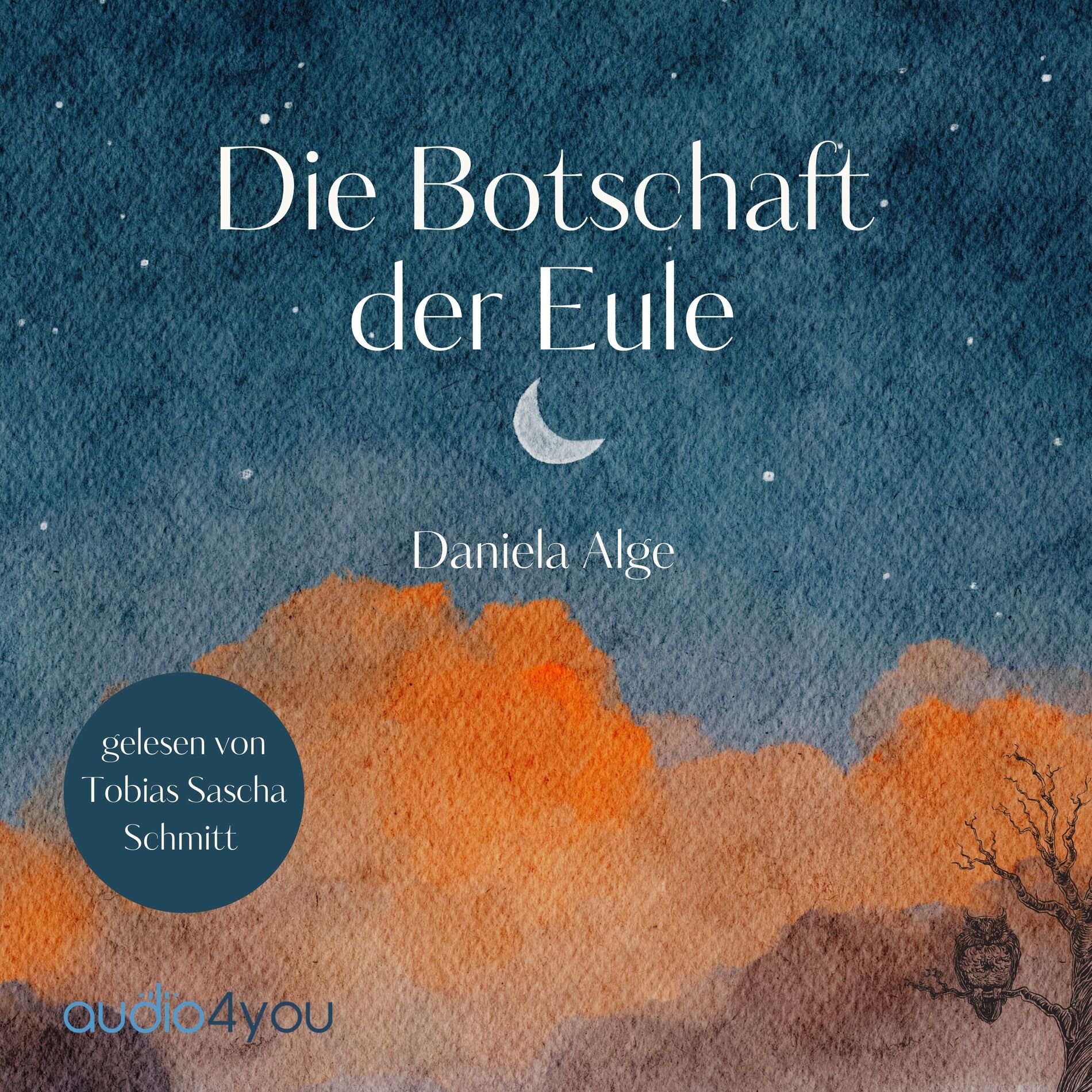 Album cover of Die Botschaft der Eule (Ein Roman über die Kraft des Schreibens)