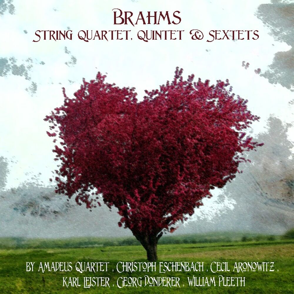 Picture of Brahms: String Quartet, Quintet & Sextet