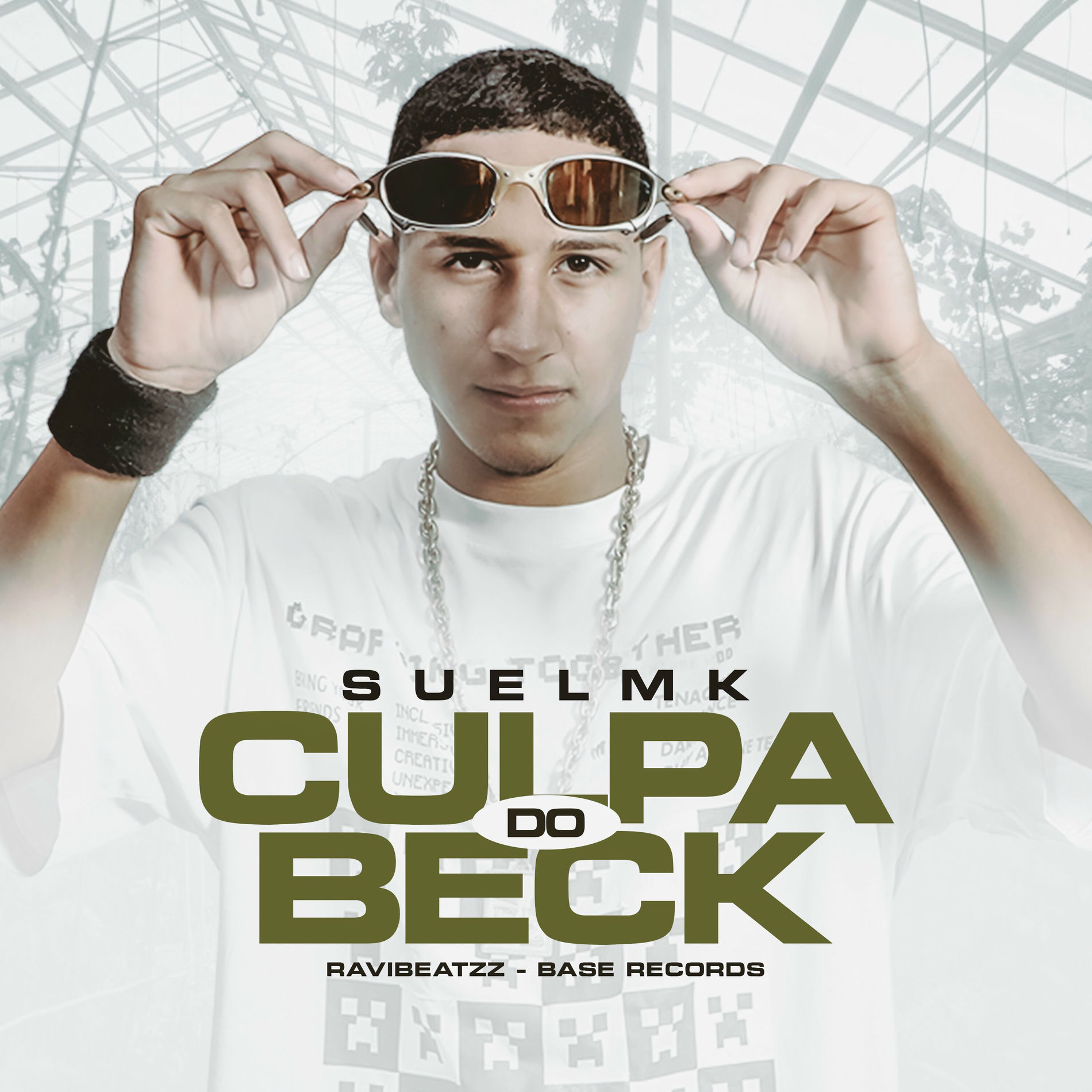 Album cover of Culpa Do Beck