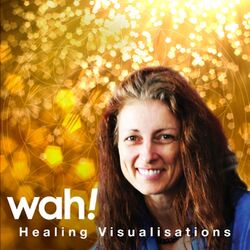 Cover of Healing Visualisations
