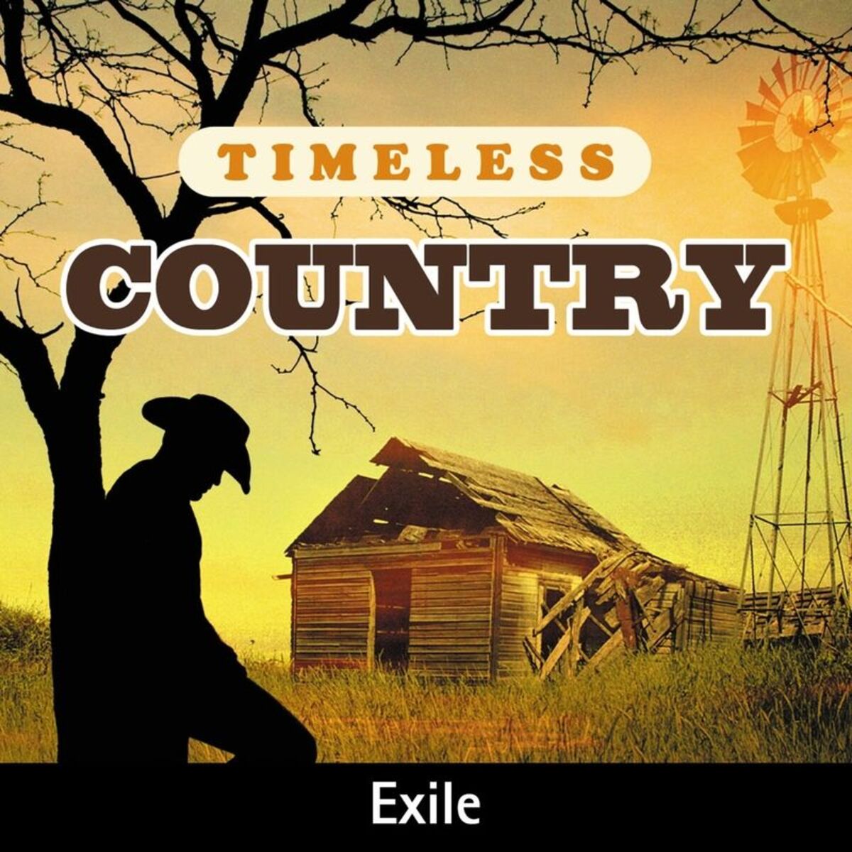 Album cover of Timeless Country: Exile
