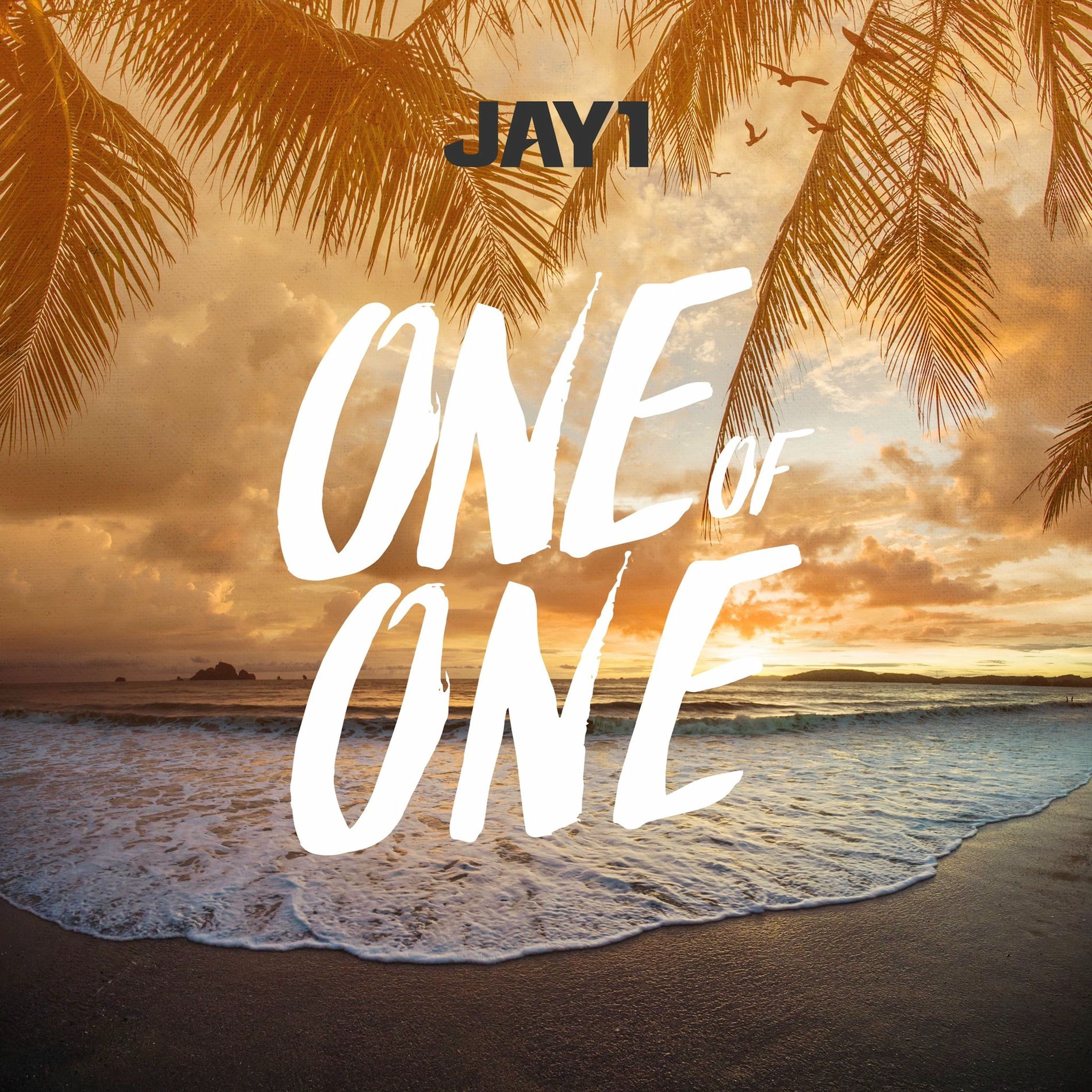 Album cover of One of One