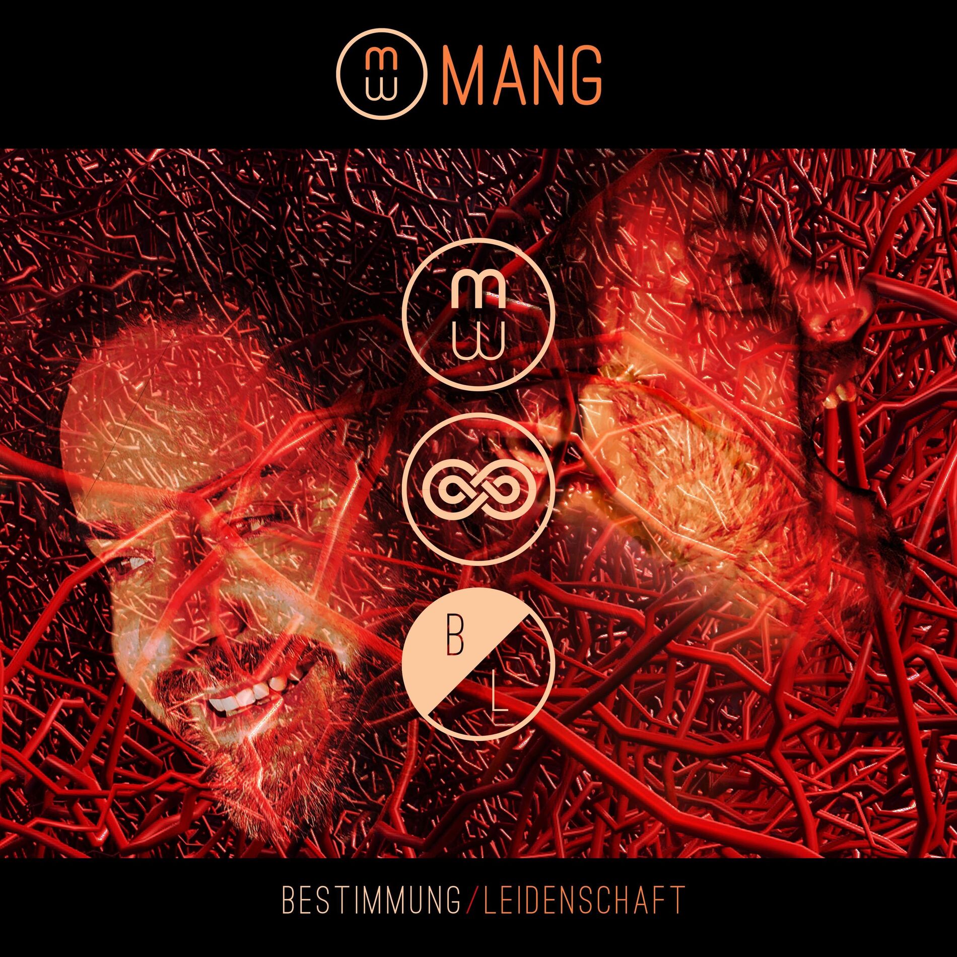 Album cover of Bestimmung