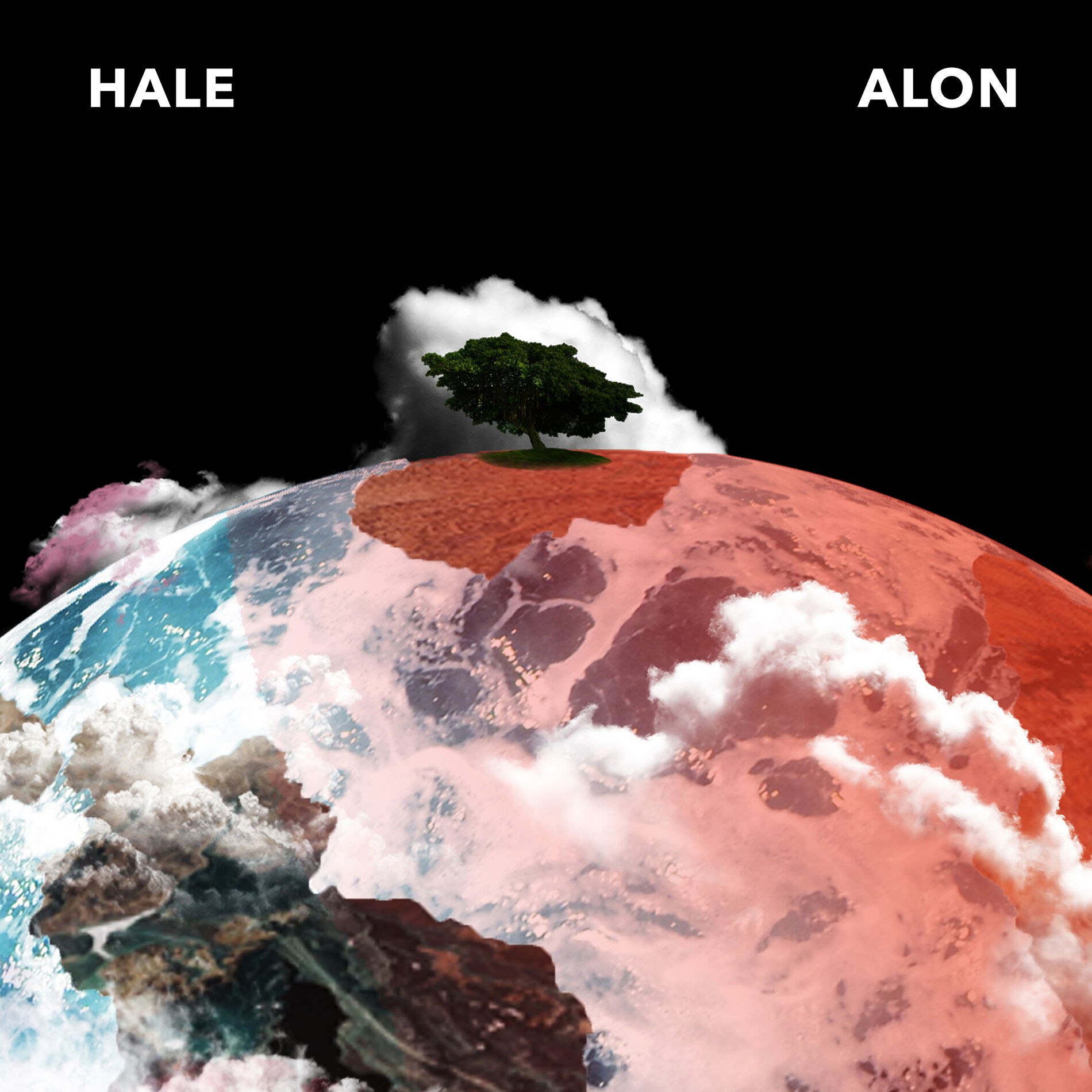 Album cover of Alon