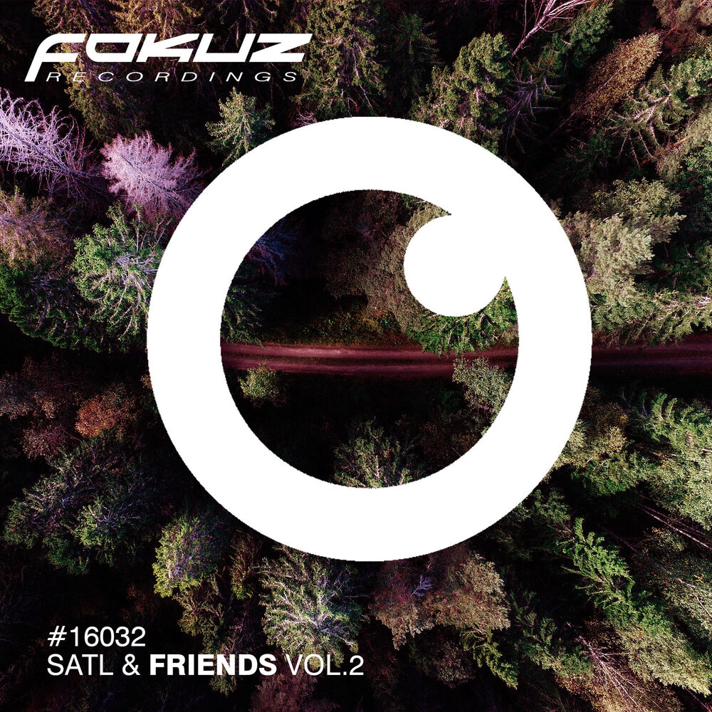 Picture of Satl & Friends Vol.2