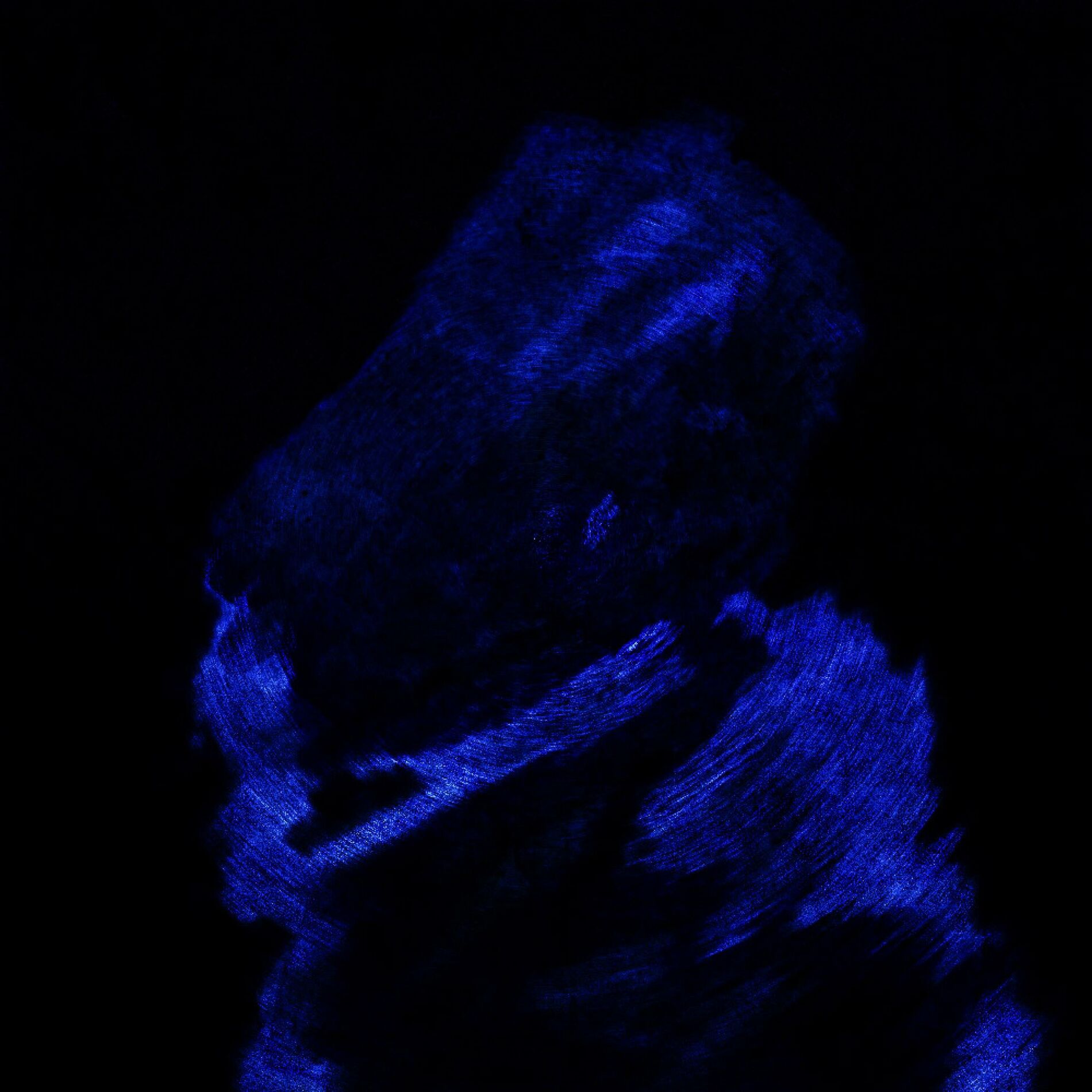 Album cover of OXY'