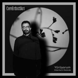 Cover of Yürüyorum Dikenlerin Üstünde