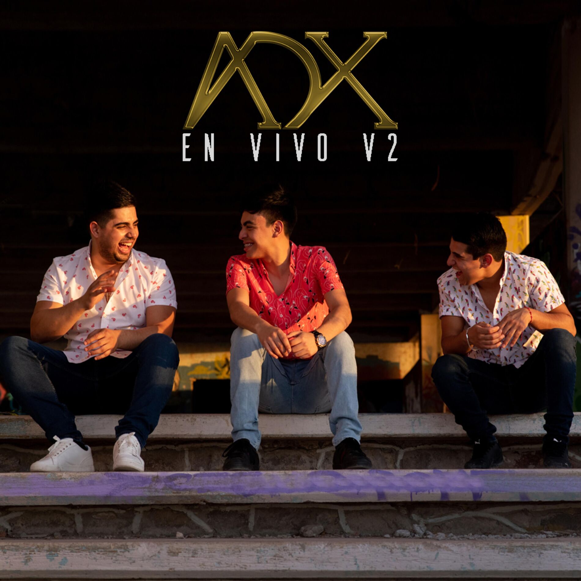 Album cover of En Vivo 2019 V2