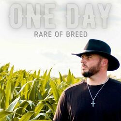 Cover of One Day