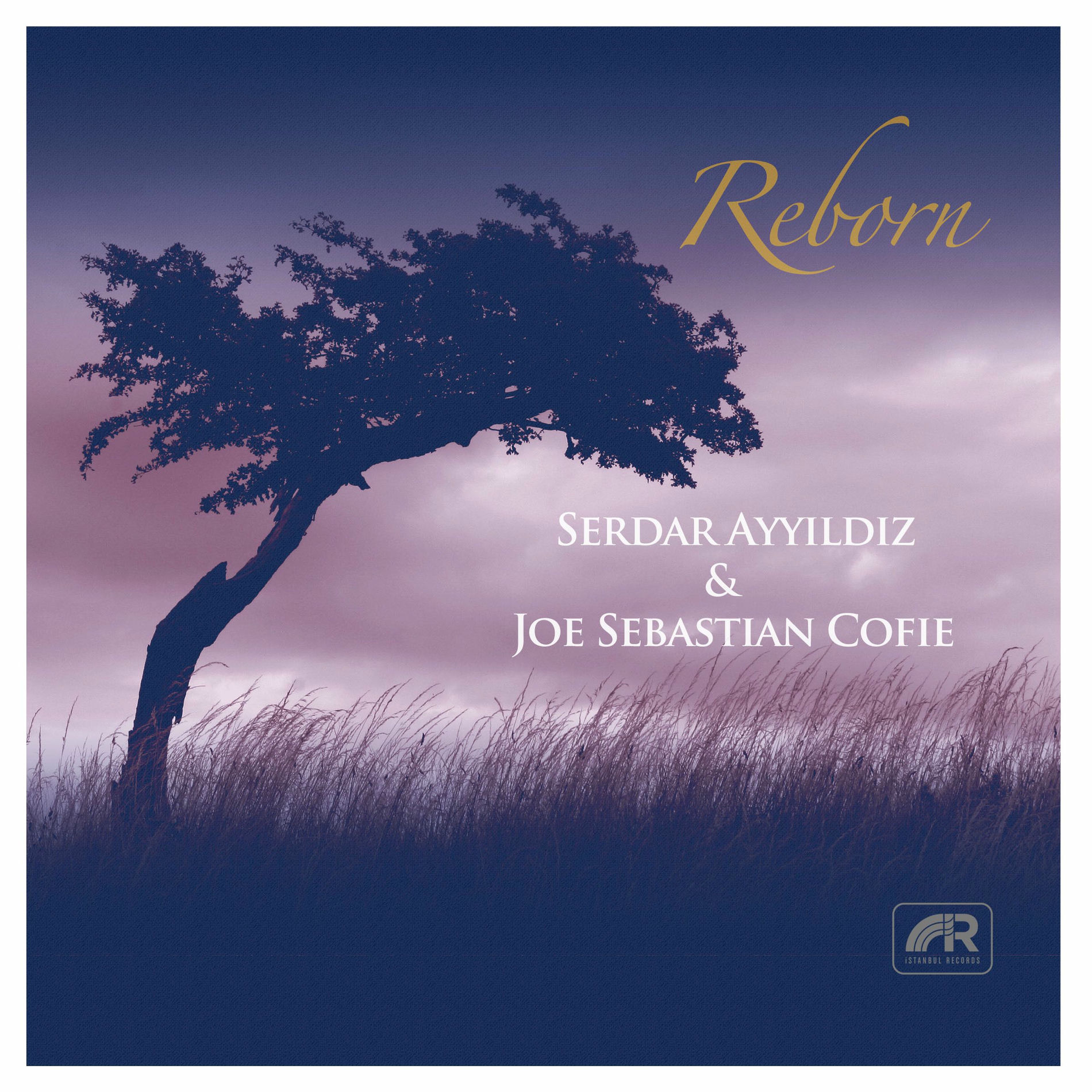 Album cover of Reborn