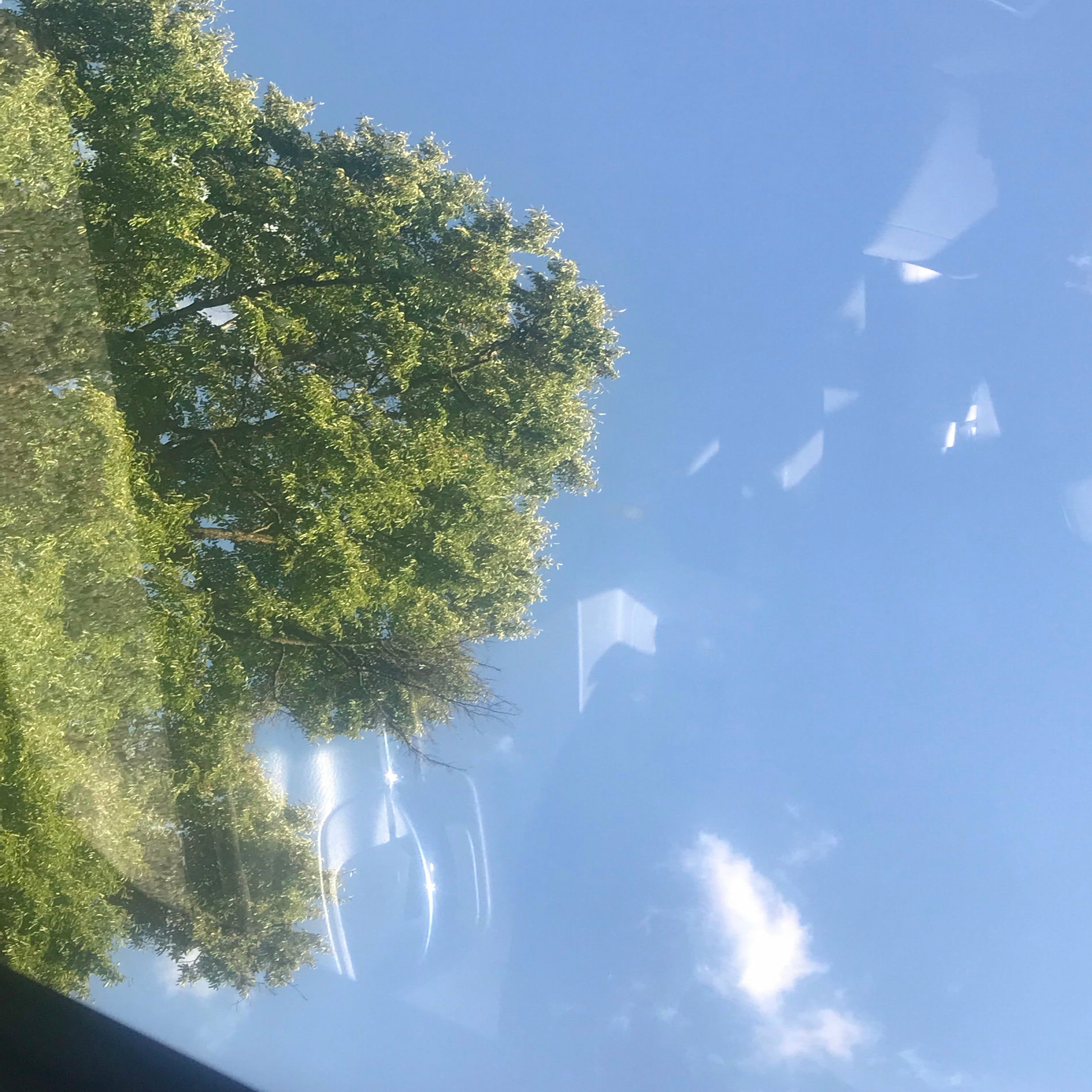 Album cover of waste!