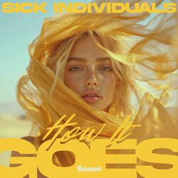 Cover of How It Goes