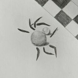 Cover of The Spiders' Marathon